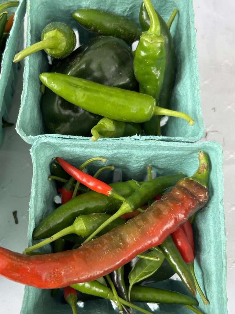 fresh peppers from Allen farm
