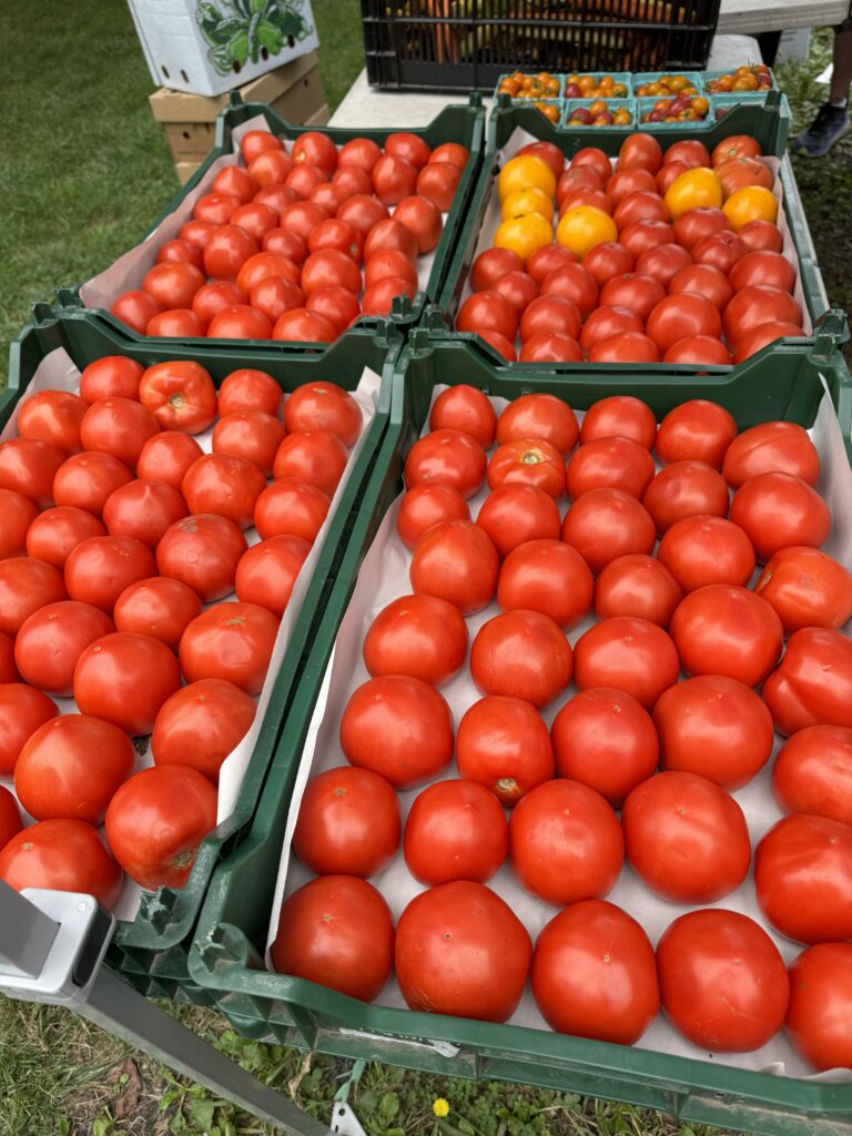 We cannot wait for tomato season